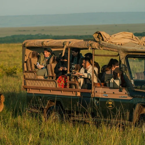 Twin treasures Safari