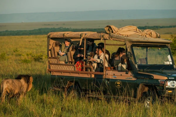 Twin treasures Safari