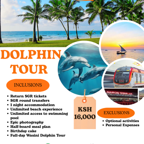 dolphin tour Amazing Dolphin Excursion Tour