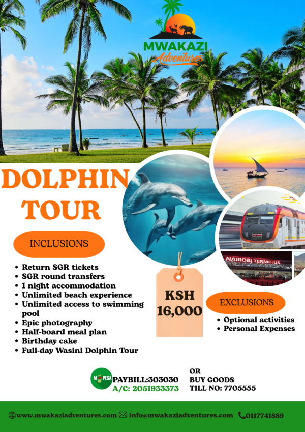 dolphin tour Amazing Dolphin Excursion Tour